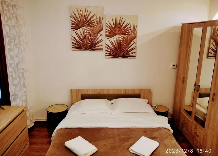 Tampa * ブラショフ